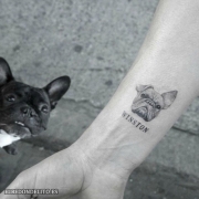 tatuajes_protagonistas_perros_073