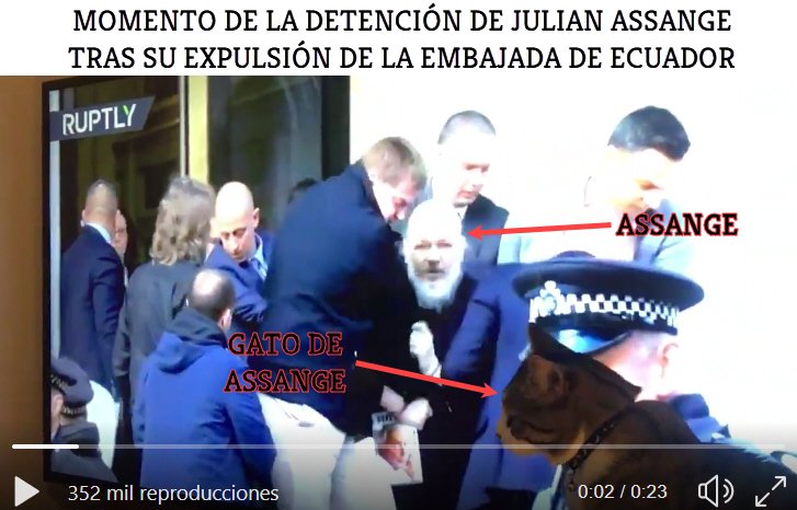 Momento de la detención de Julian Assange momentos después de ser expulsado de la embajada de Ecuador y mientras su gato se hace el loco.