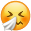Emoji - Cara que estornuda