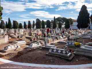 pericoxx_elredondelito.es_visita_cementerio_01_11_2019-15