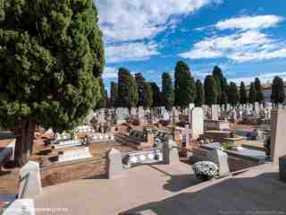 pericoxx_elredondelito.es_visita_cementerio_01_11_2019-165