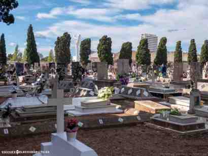 pericoxx_elredondelito.es_visita_cementerio_01_11_2019-174