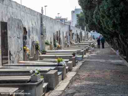 pericoxx_elredondelito.es_visita_cementerio_01_11_2019-36