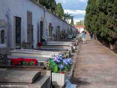 pericoxx_elredondelito.es_visita_cementerio_01_11_2019-57