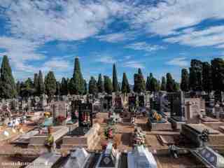 pericoxx_elredondelito.es_visita_cementerio_01_11_2019-7