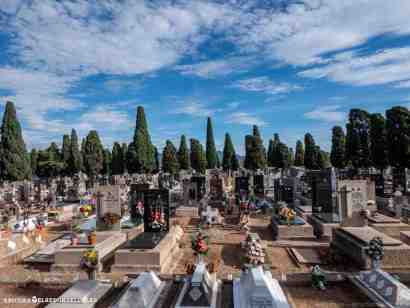 pericoxx_elredondelito.es_visita_cementerio_01_11_2019-7