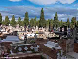 pericoxx_elredondelito.es_visita_cementerio_01_11_2019-79