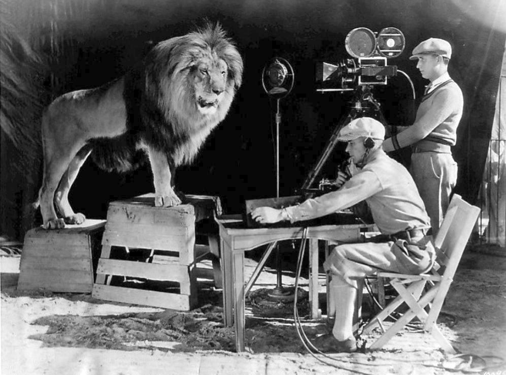 Rodaje del León de MGM