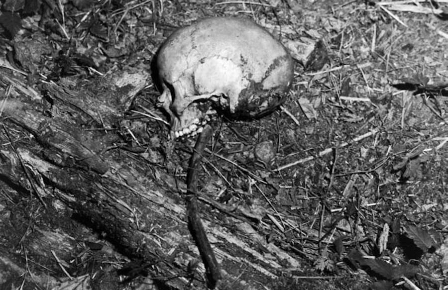 El cráneo de la novena víctima de Ted Bundy, Denise Naslund, descubierto por dos cazadores cerca de Issaquah, Washington.
