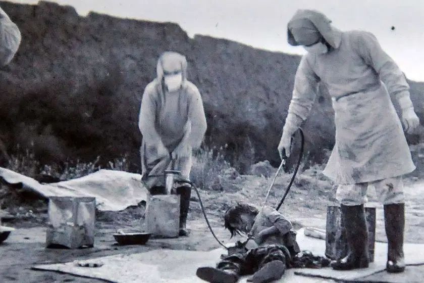 Experimento de guerra «germen», que se realiza en la Unidad 731