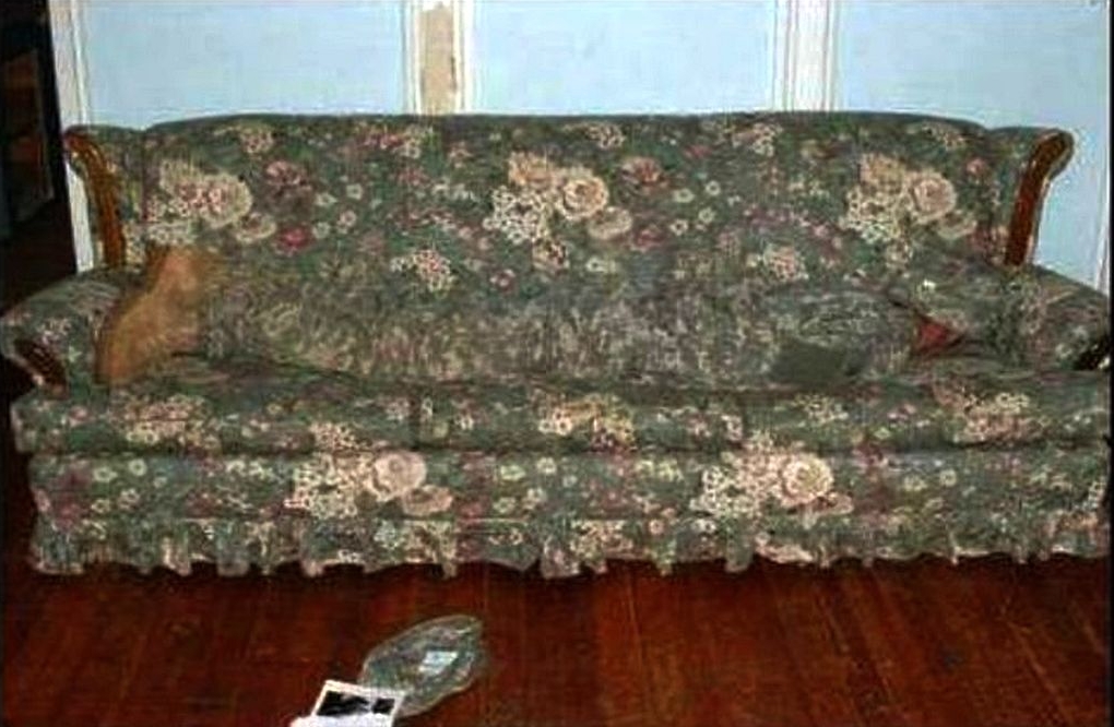Camuflaje en el sofá de mamá
