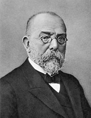 Robert Heinrich Hermann Koch 