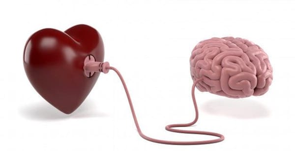 Neurología del amor