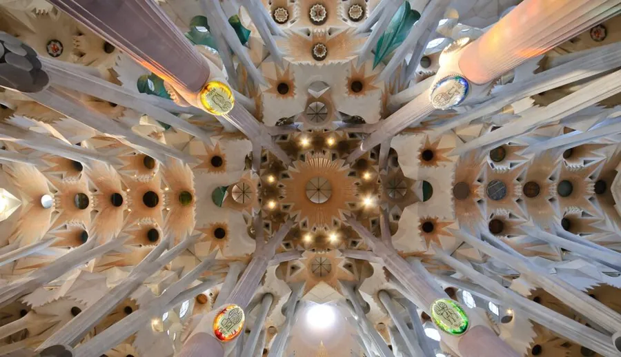 Arquitectura biomimética ejemplo techo de una catedral